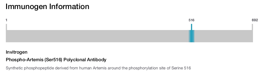 Phospho-Artemis (Ser516) Polyclonal Antibody
