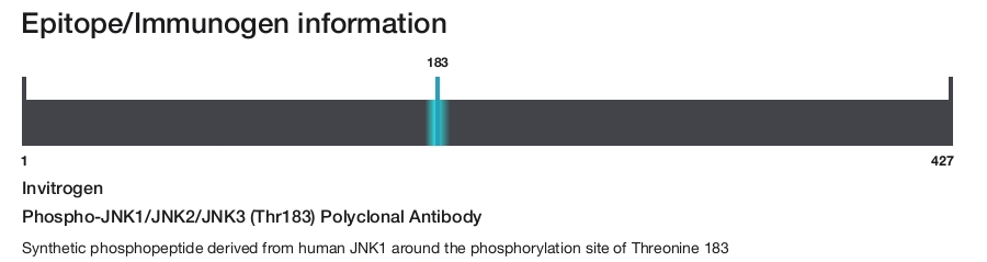 Phospho-JNK1/JNK2/JNK3 (Thr183) Polyclonal Antibody