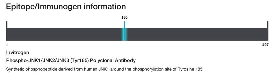 Phospho-JNK1/JNK2/JNK3 (Tyr185) Polyclonal Antibody