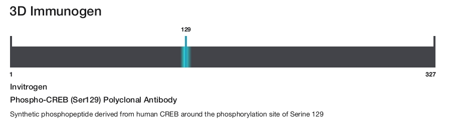 Phospho-CREB (Ser129) Polyclonal Antibody