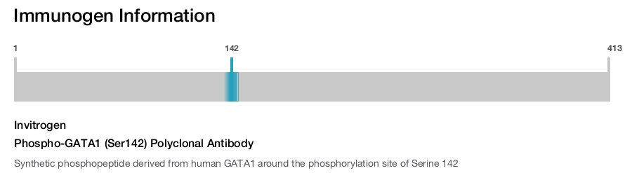 Phospho-GATA1 (Ser142) Polyclonal Antibody