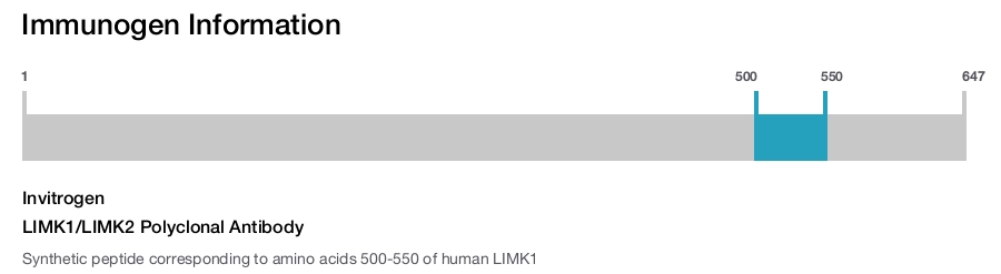 LIMK1/LIMK2 Polyclonal Antibody