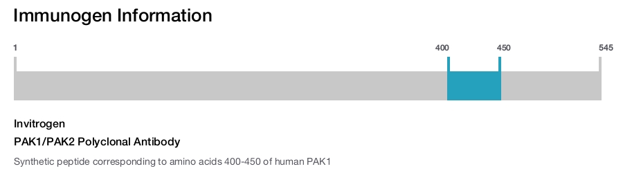 PAK1/PAK2 Polyclonal Antibody