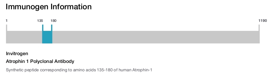 Atrophin 1 Polyclonal Antibody
