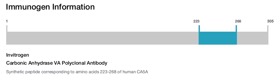 Carbonic Anhydrase VA Polyclonal Antibody