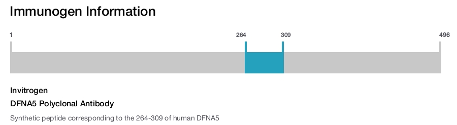 DFNA5 Polyclonal Antibody
