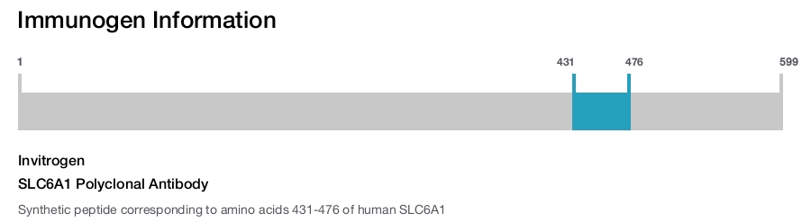 SLC6A1 Polyclonal Antibody