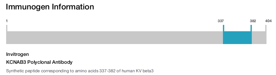 KCNAB3 Polyclonal Antibody