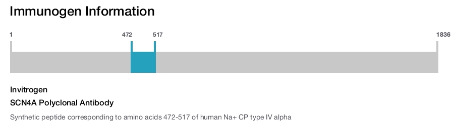 SCN4A Polyclonal Antibody