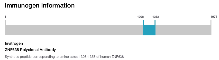 ZNF638 Polyclonal Antibody