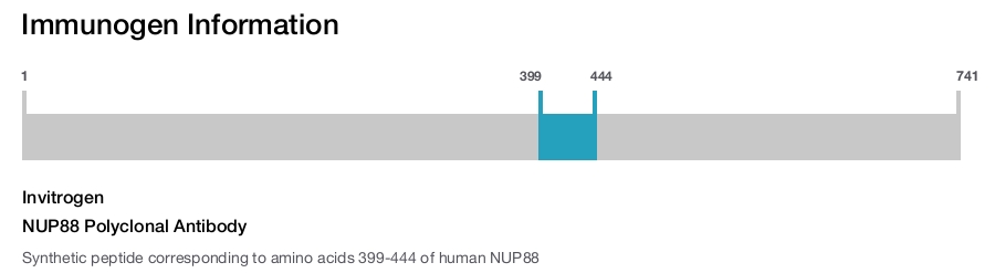 NUP88 Polyclonal Antibody