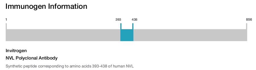 NVL Polyclonal Antibody