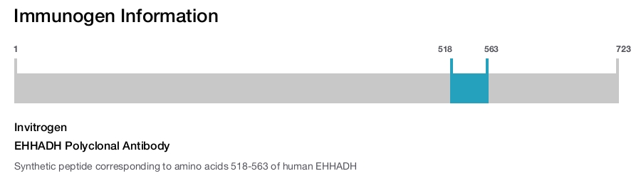EHHADH Polyclonal Antibody