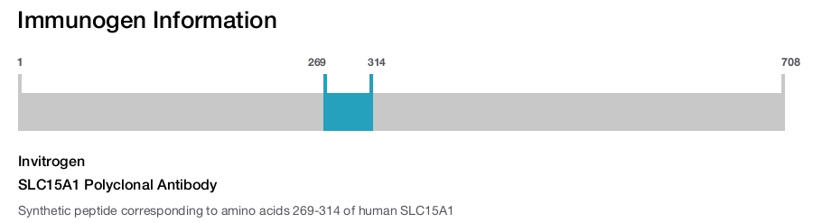 SLC15A1 Polyclonal Antibody