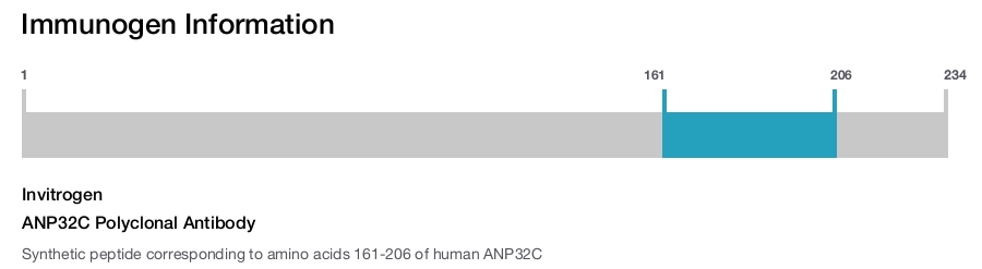 ANP32C Polyclonal Antibody