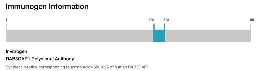 RAB3GAP1 Polyclonal Antibody