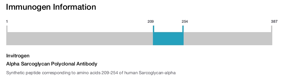 Alpha Sarcoglycan Polyclonal Antibody