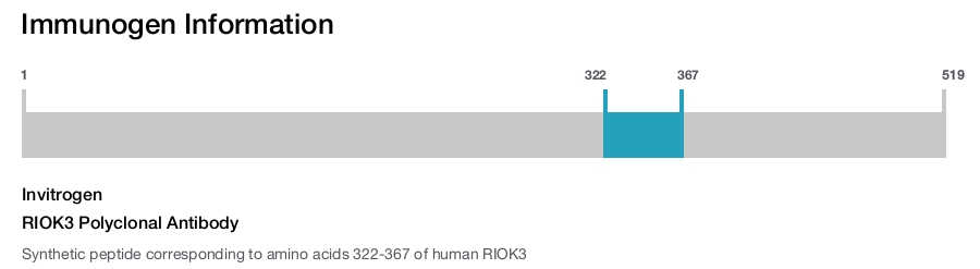 RIOK3 Polyclonal Antibody