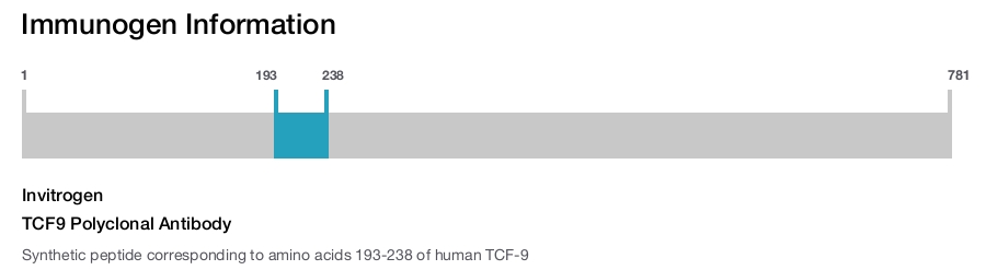 TCF9 Polyclonal Antibody