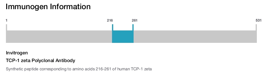 TCP-1 zeta Polyclonal Antibody