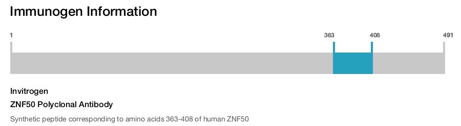 ZNF50 Polyclonal Antibody