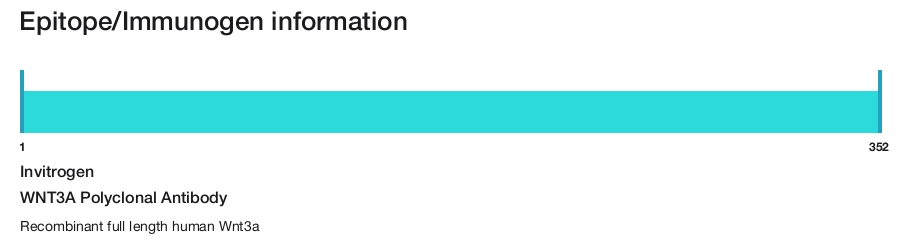 WNT3A Polyclonal Antibody