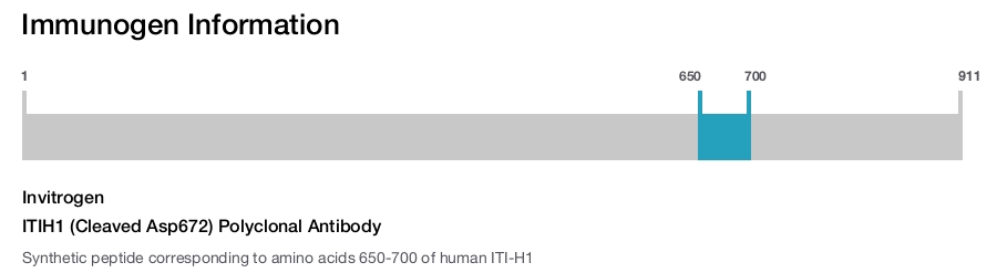 ITIH1 (Cleaved Asp672) Polyclonal Antibody