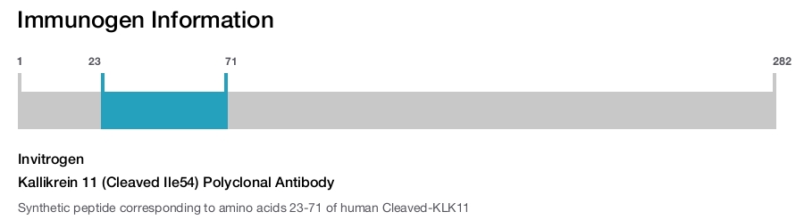 Kallikrein 11 (Cleaved Ile54) Polyclonal Antibody