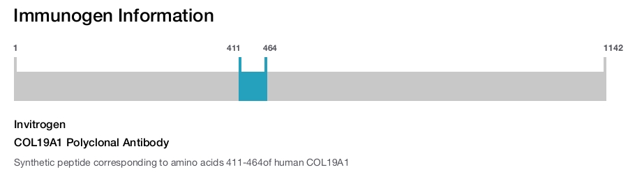 COL19A1 Polyclonal Antibody