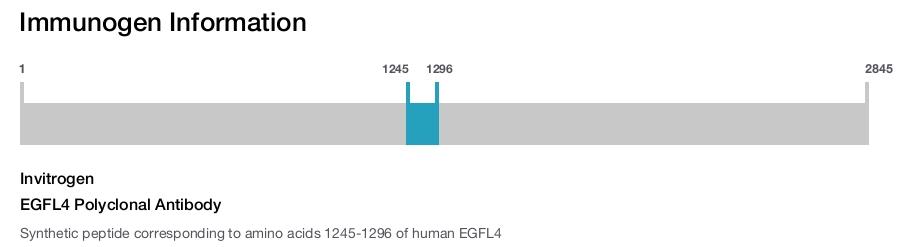 EGFL4 Polyclonal Antibody