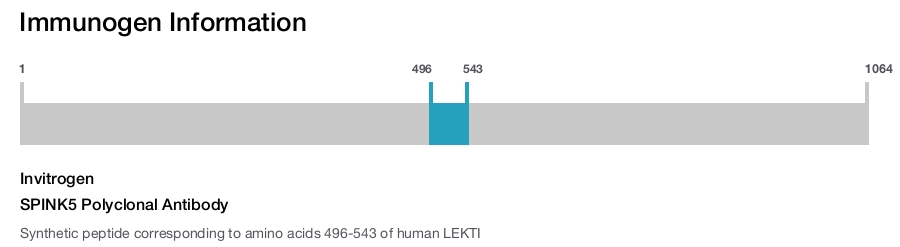 SPINK5 Polyclonal Antibody