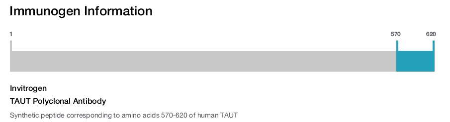 TAUT Polyclonal Antibody