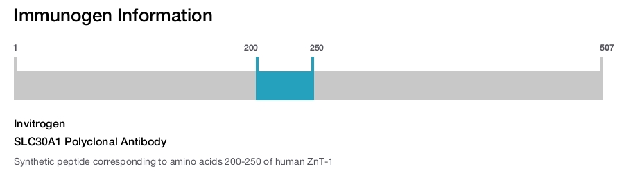 SLC30A1 Polyclonal Antibody