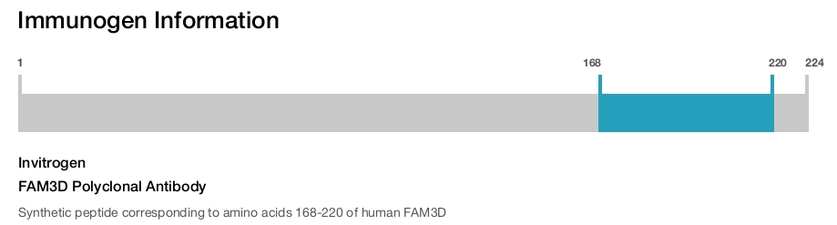 FAM3D Polyclonal Antibody