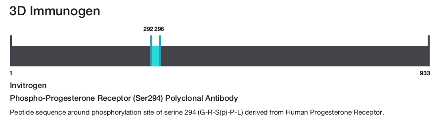 Phospho-Progesterone Receptor (Ser294) Polyclonal Antibody