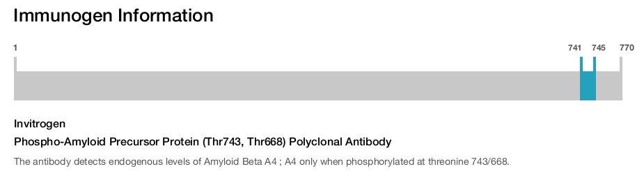Phospho-Amyloid Precursor Protein (Thr743, Thr668) Polyclonal Antibody