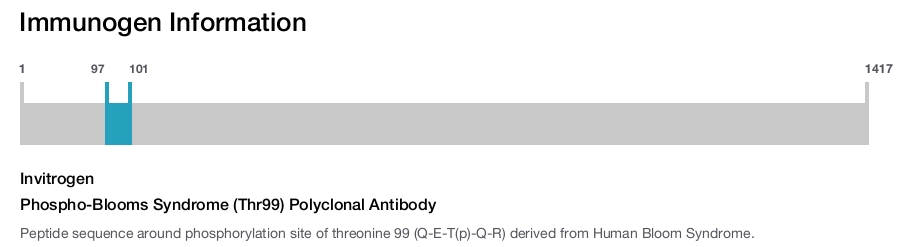 Phospho-Blooms Syndrome (Thr99) Polyclonal Antibody