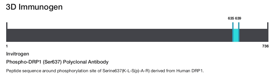 Phospho-DRP1 (Ser637) Polyclonal Antibody