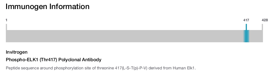Phospho-ELK1 (Thr417) Polyclonal Antibody