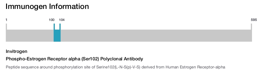 Phospho-Estrogen Receptor alpha (Ser102) Polyclonal Antibody