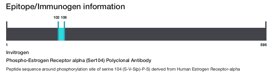 Phospho-Estrogen Receptor alpha (Ser104) Polyclonal Antibody