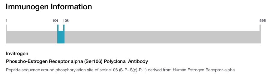 Phospho-Estrogen Receptor alpha (Ser106) Polyclonal Antibody