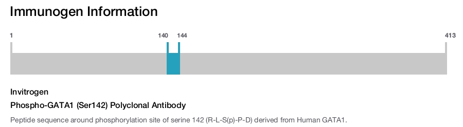 Phospho-GATA1 (Ser142) Polyclonal Antibody