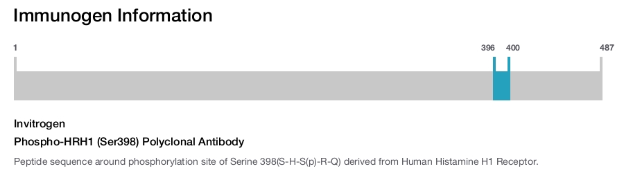 Phospho-HRH1 (Ser398) Polyclonal Antibody