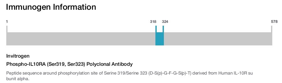 Phospho-IL10RA (Ser319, Ser323) Polyclonal Antibody