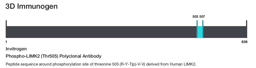 Phospho-LIMK2 (Thr505) Polyclonal Antibody