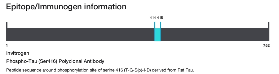 Phospho-Tau (Ser416) Polyclonal Antibody