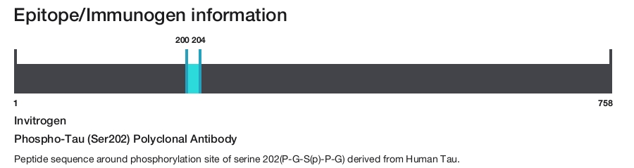 Phospho-Tau (Ser202) Polyclonal Antibody