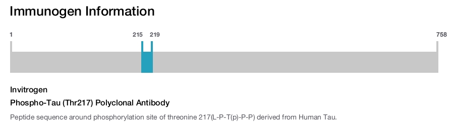 Phospho-Tau (Thr217) Polyclonal Antibody