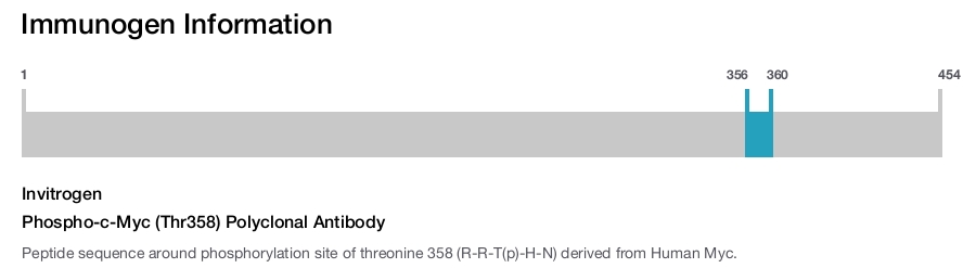 Phospho-c-Myc (Thr358) Polyclonal Antibody